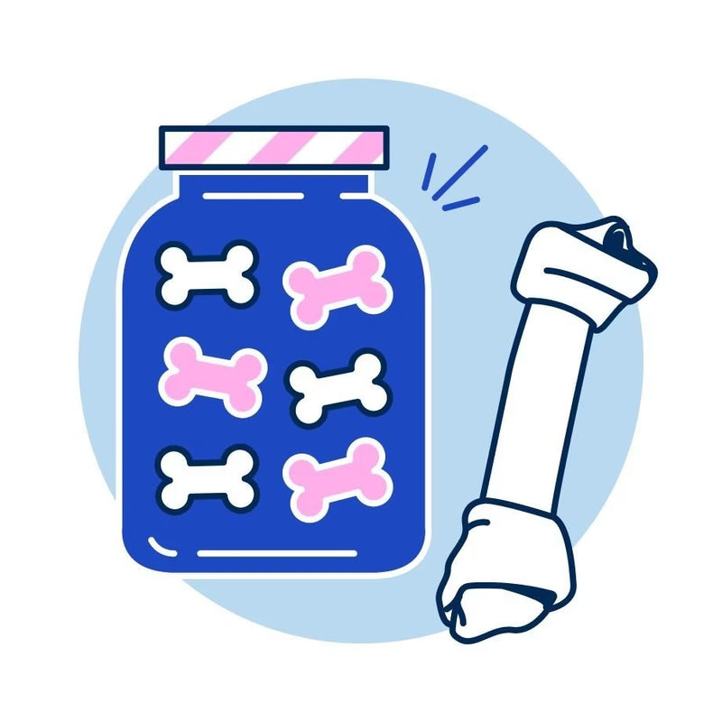 “Premium Pet Treats for Dogs & Cats – Healthy & Delicious Snacks by ZooCart”