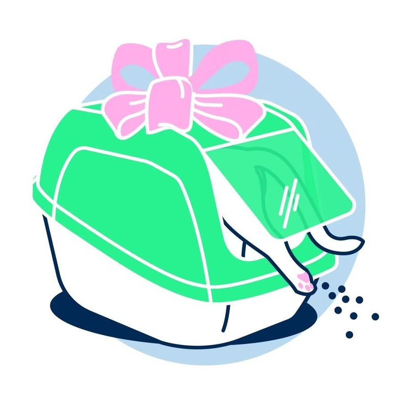 “Premium Cat Litter for Kittens & Cats – Clumping, Tofu & Silica Litter by ZooCart”