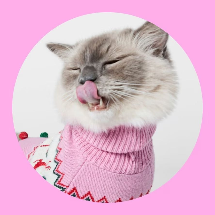 “Complete Cat Products – Food, Litter, Treats, Toys & Grooming by ZooCart”