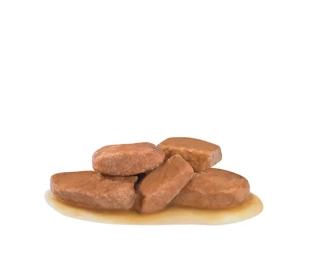 Royal Canin Sensitivity Control Chicken with Rice Wet Food for Cats